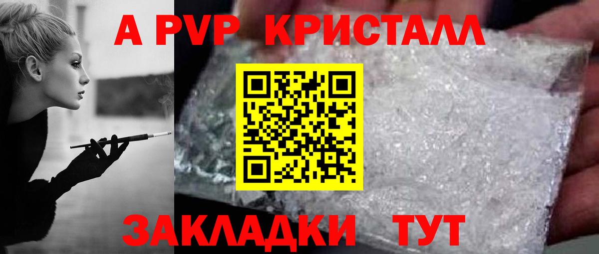 Альфа ПВП СК КРИС Кондопога