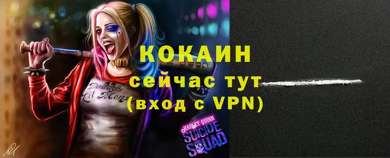 как найти наркотики  Кондопога  COCAIN 99% 