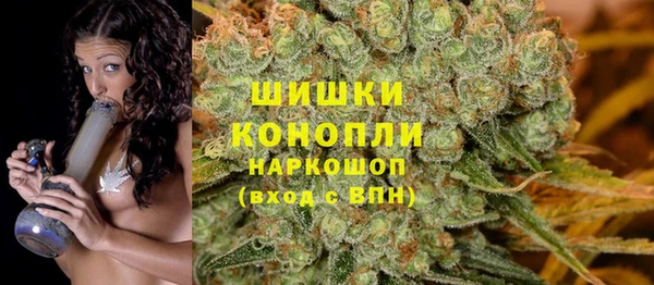 гидра Нефтекумск