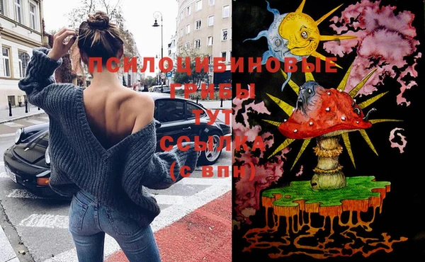 гидра Нефтекумск