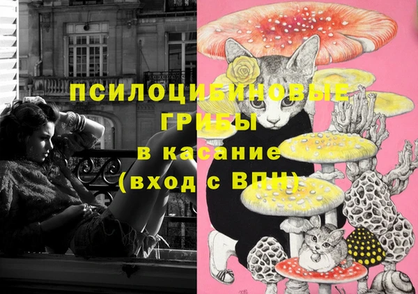 амф Нефтегорск