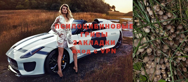 PSILOCYBIN Нея