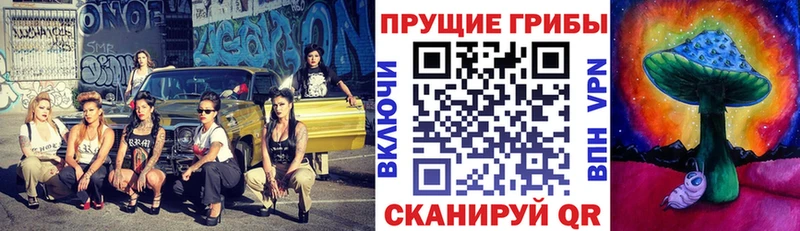 Галлюциногенные грибы MAGIC MUSHROOMS  Кондопога 