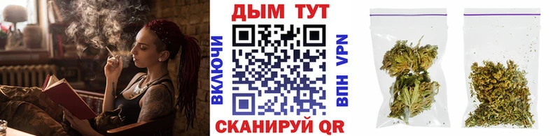 Конопля семена  МЕГА зеркало  Кондопога 
