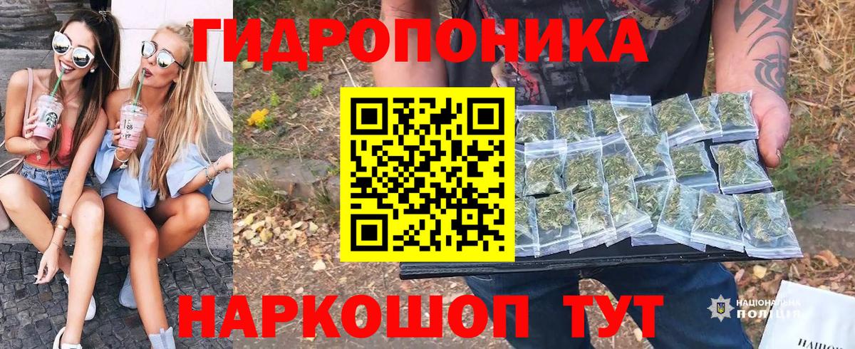 Каннабис LSD WEED  Вход с VPN  Кондопога  Конопля семена  Шишки марихуана план  Шишки марихуана THC 21% 